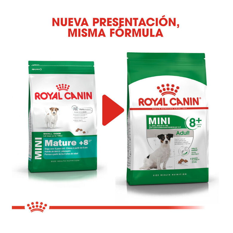 Royal Canin Mini +8 Adult pienso para perros, , large image number null